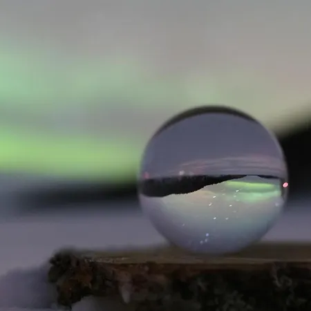 Moekki - The White Blue Wilderness 샬레 이나리